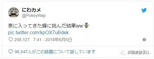 2018年在日推上“青史留名”的喵星人，引起舒适！