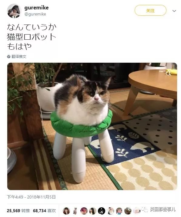 2018年在日推上“青史留名”的喵星人，引起舒适！