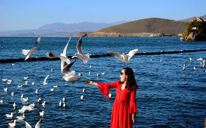 黔东南+黔西南经典八日游—昆明—马岭河峡谷—万峰林—黄果树瀑布—荔波小七孔—千户苗寨—镇远古镇—梵净山—石阡温泉