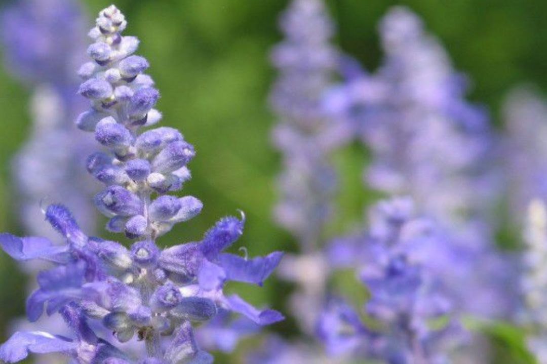 异地恋、姐弟恋陆续见光死，女人如何掌舵成为幸福操盘手？