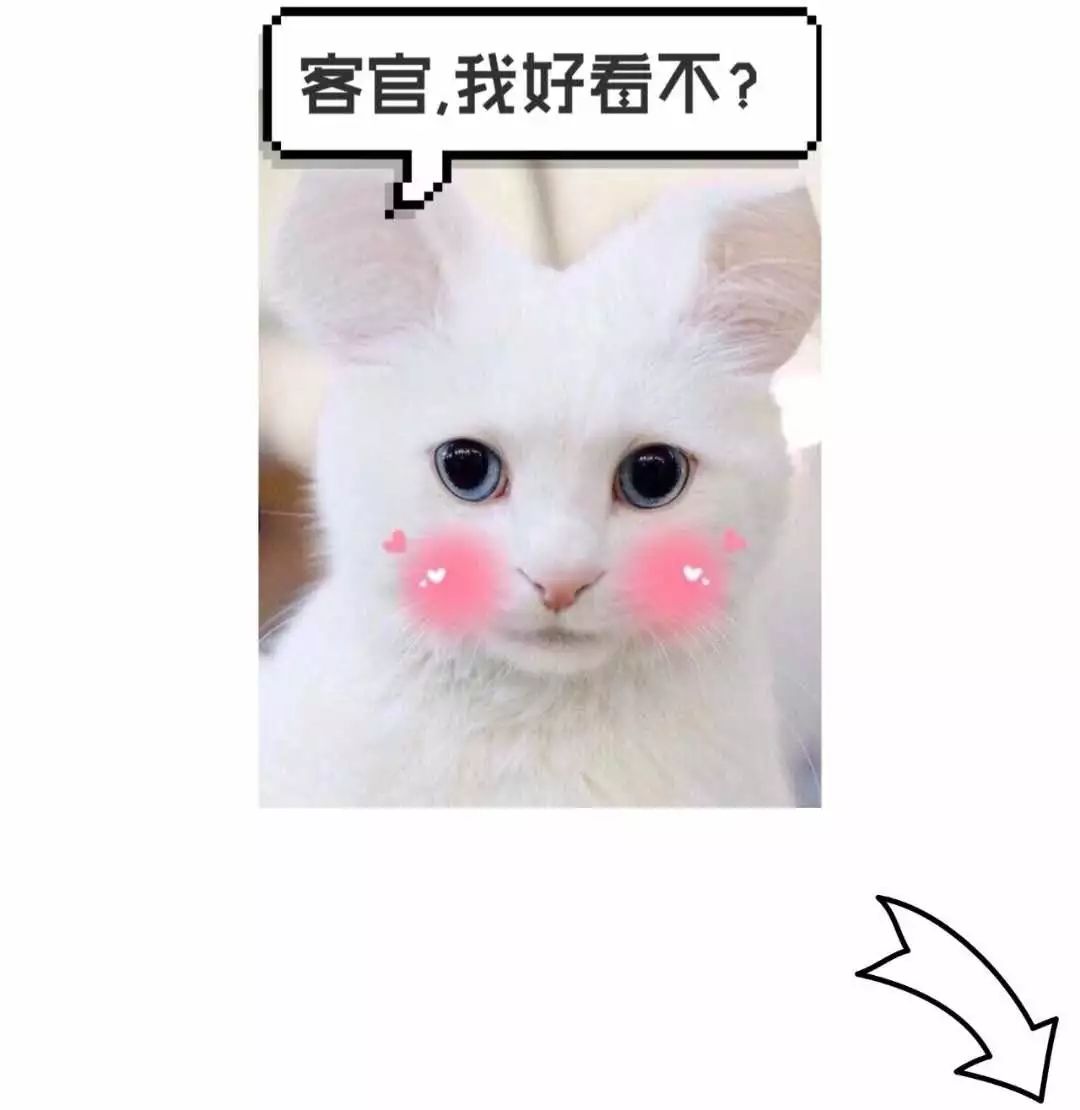 2022年潍坊市优秀学生名单,厉害潍坊6名学生获国家级