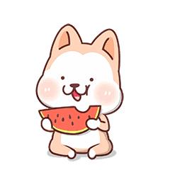 教育局禁止售卖的食品,中小学校禁止对学生出售零食