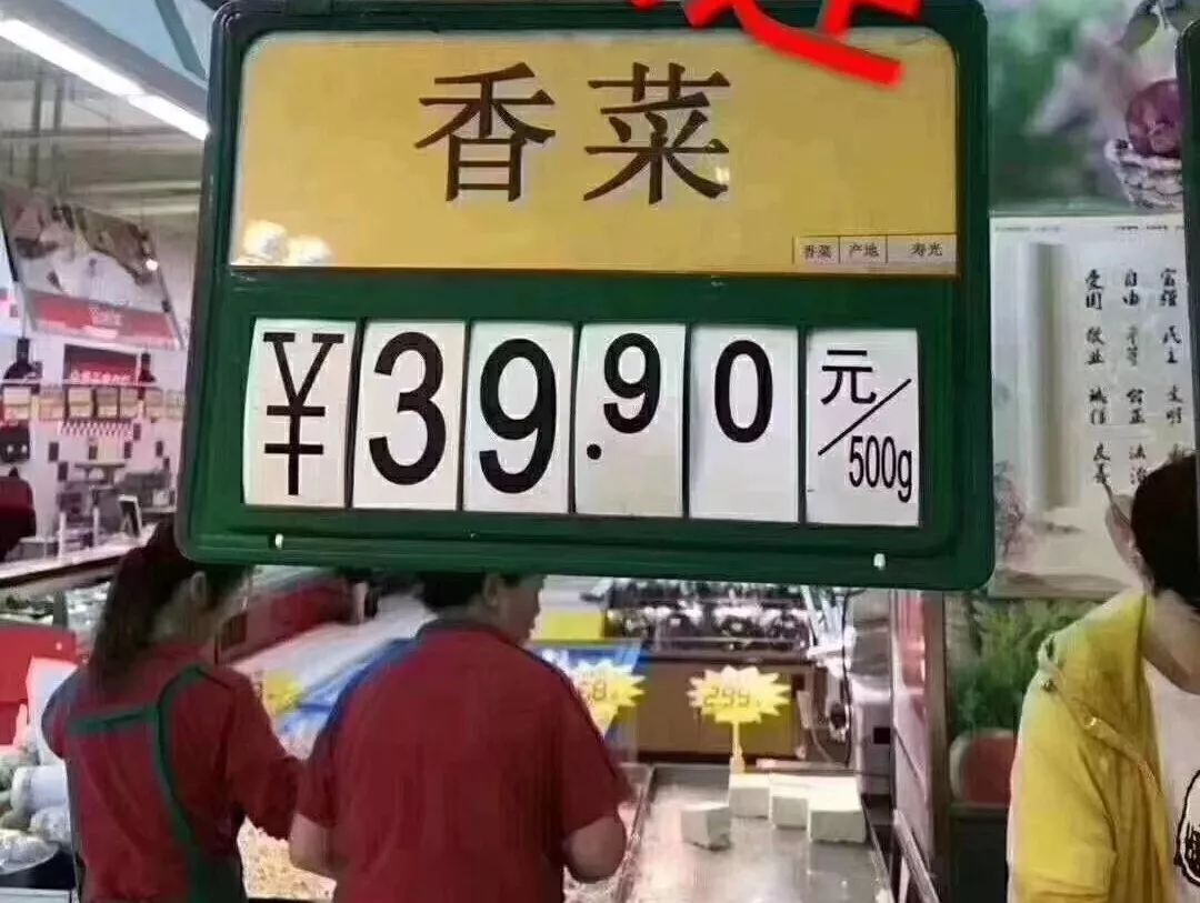 鬼知道我经历了什么小说在线看,鬼知道我经历了什么txt完整版