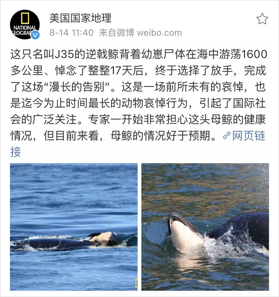 鬼知道我经历了什么小说在线看,鬼知道我经历了什么txt完整版