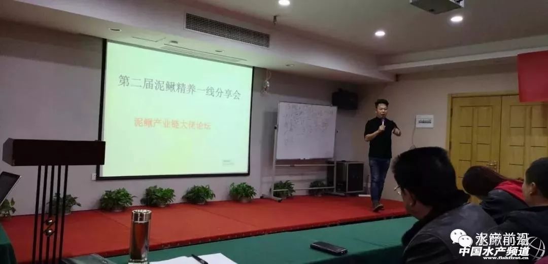 2023泥鳅塘头价格,今日泥鳅塘头最新价格