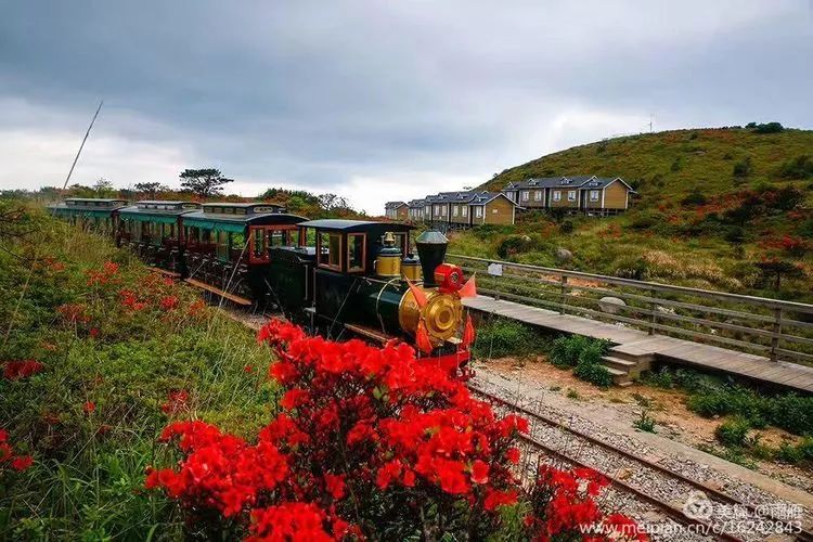 福建树屋酒店推荐,福建特点树屋民宿度假屋特点