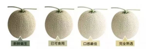 2020网红水果有哪些,盘点2018十大网红水果