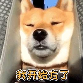 2020春运开启攻略来袭,最全四川春运出行攻略