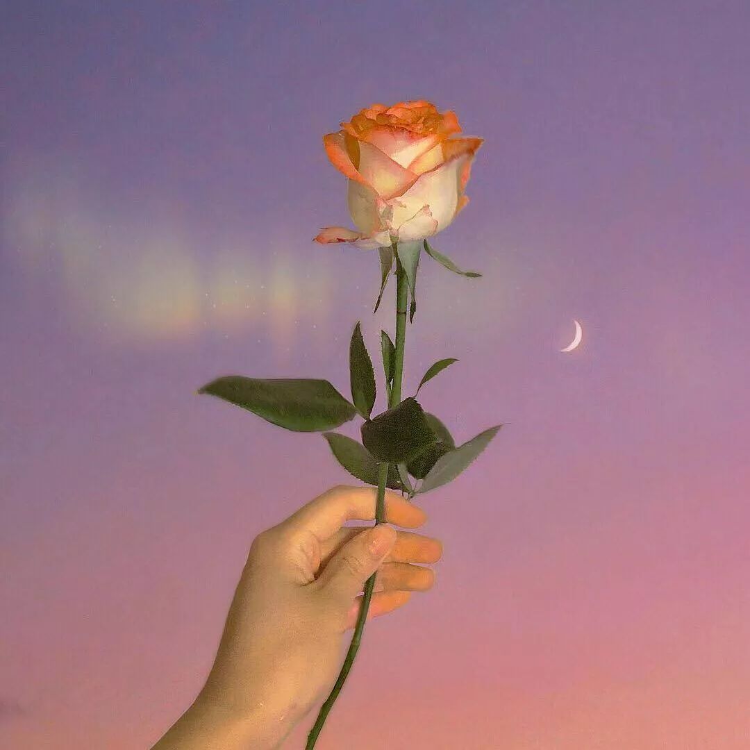 2022年大牌热卖护肤品,有什么无限回购的大牌护肤品