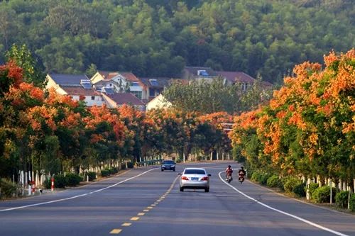 溧阳市农田出租,溧阳农民自建房