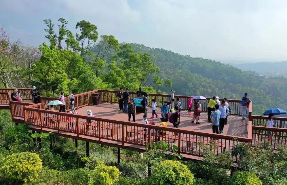 中山跨年活动有哪些,一大波假期正在来袭