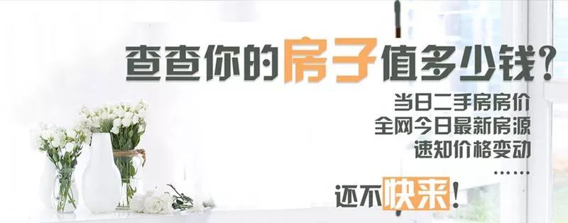 亚马逊加拿大鹅是真的吗,加拿大鹅假货风波