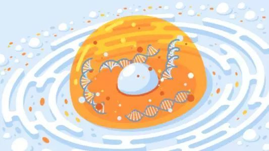 科学网站推荐,最前沿的科学网站有哪些