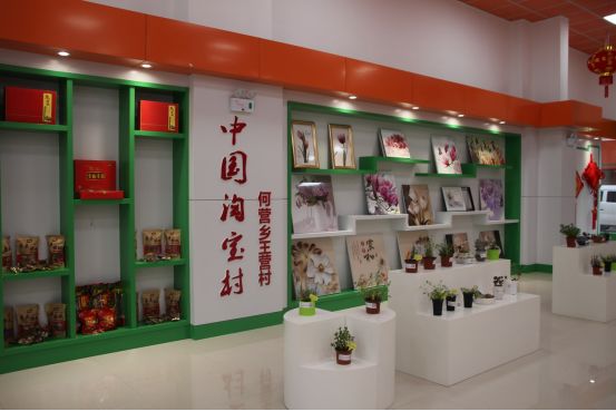 夏邑县特点农村,夏邑县前十村庄
