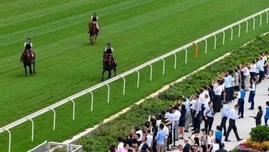 投注额达17.15亿港币，8万余马迷入场观赛！香港元旦赛马日再创新高