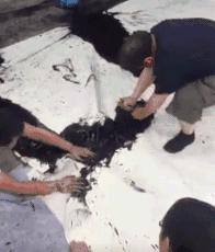 每天都有几千人坐着飞机迫不及待的赶去被骗