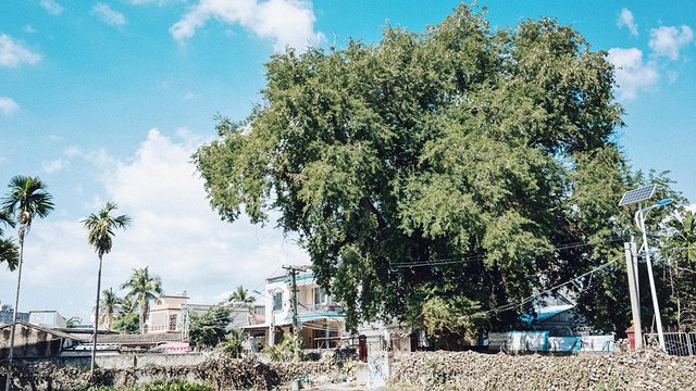 三亚崖州旅游攻略最新,三亚攻略自由行崖州