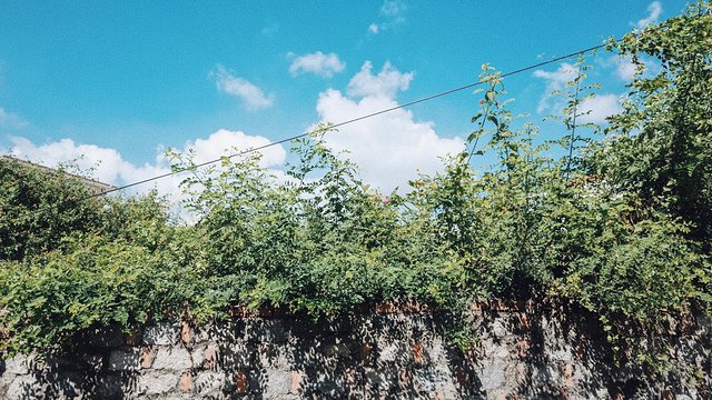 三亚崖州旅游攻略最新,三亚攻略自由行崖州