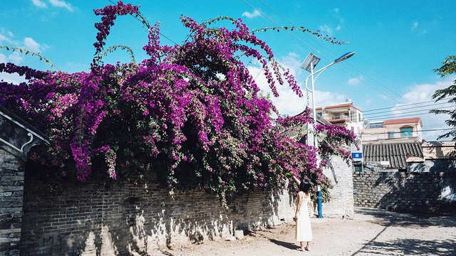 三亚崖州旅游攻略最新,三亚攻略自由行崖州