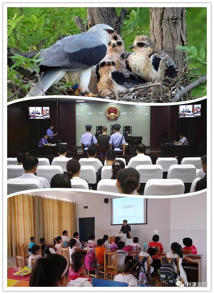 盘点法官那些感人瞬间,利津法院老照片