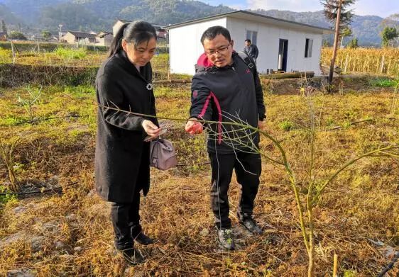 科协快讯,曲靖市科协会议