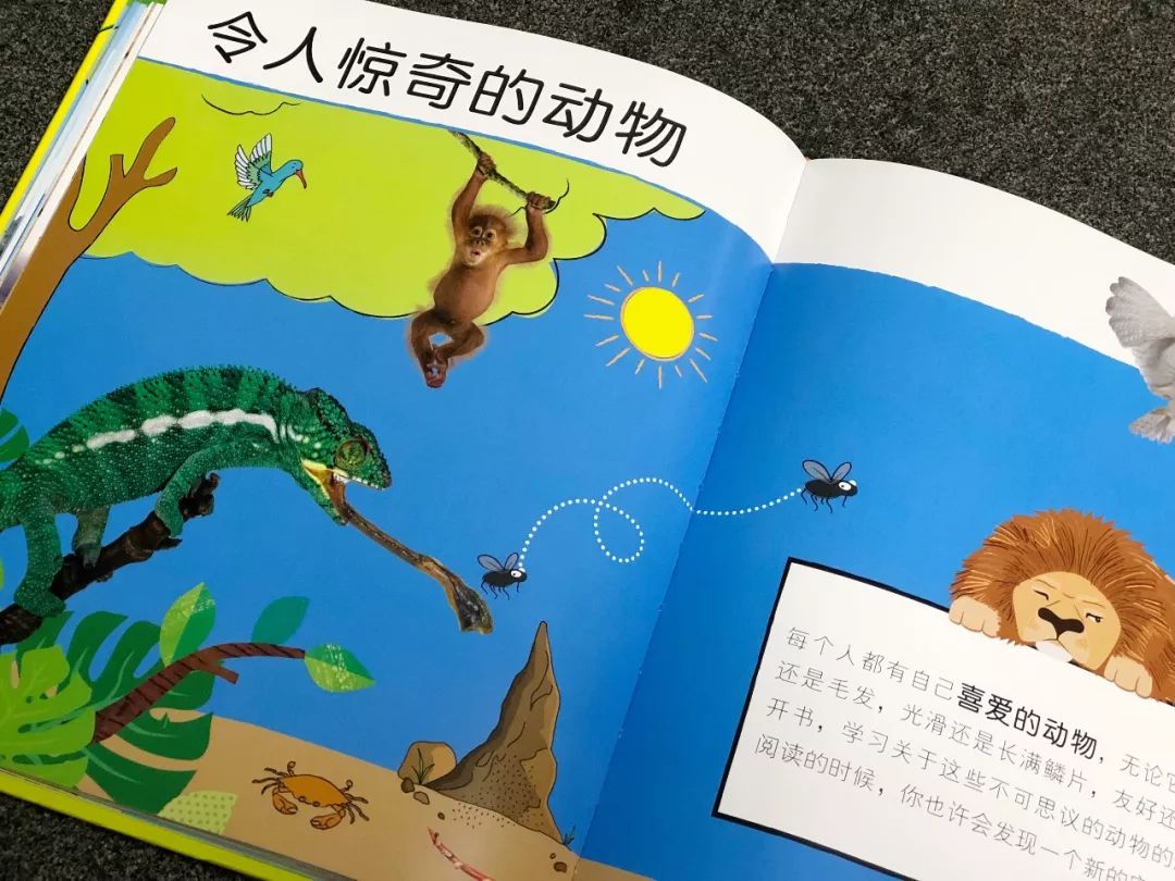 现在的孩子真是不知道怎么想的,现在的孩子真的是脑洞大开