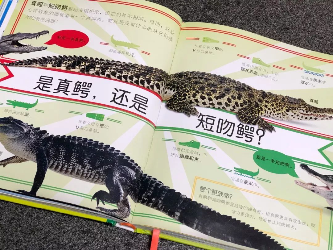 现在的孩子真是不知道怎么想的,现在的孩子真的是脑洞大开