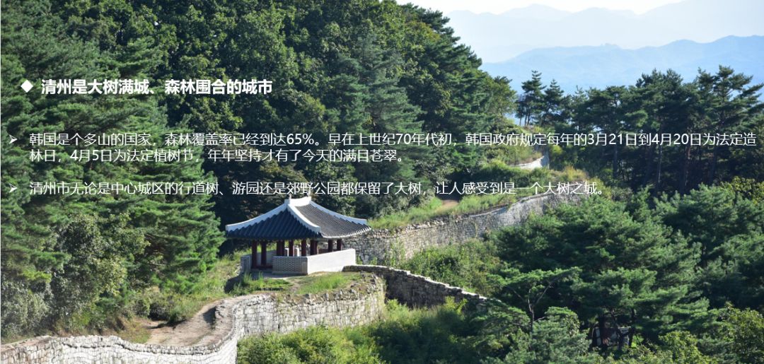 园林大讲堂｜清溪川：韩国人最引以为傲的生态改造项目