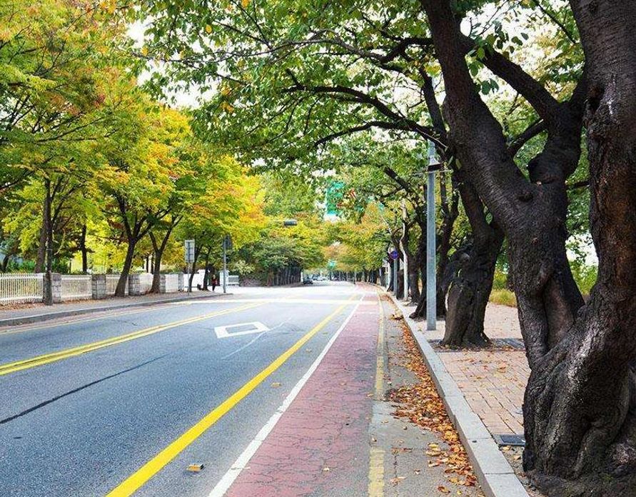 园林大讲堂｜清溪川：韩国人最引以为傲的生态改造项目