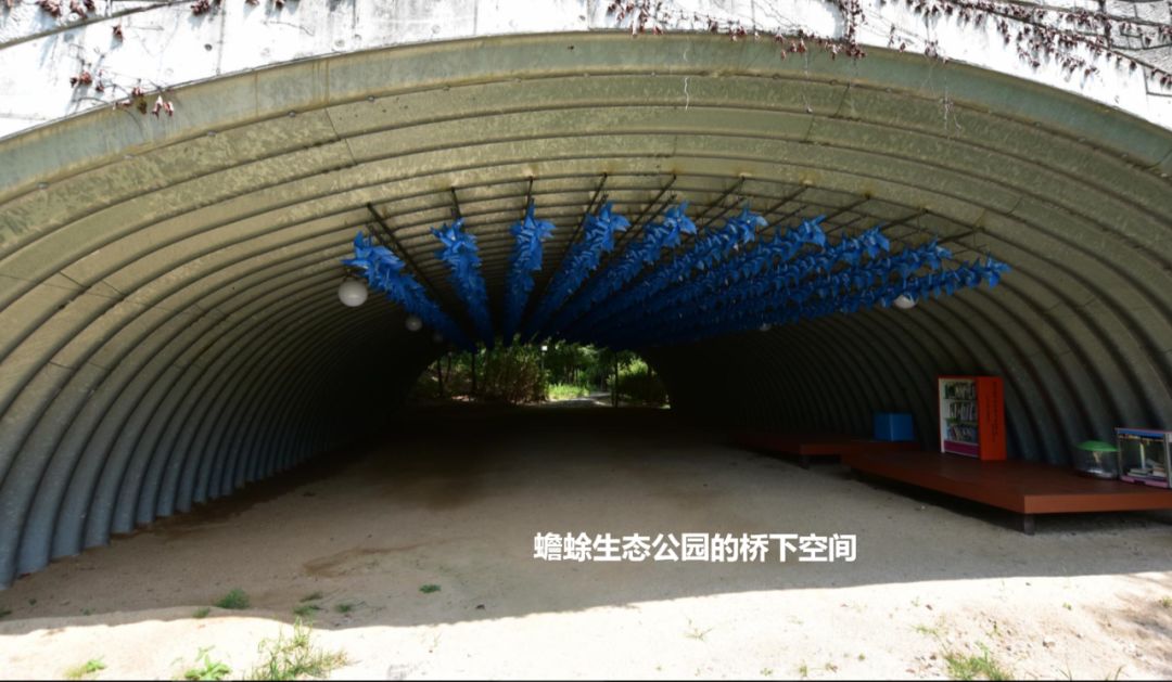 园林大讲堂｜清溪川：韩国人最引以为傲的生态改造项目