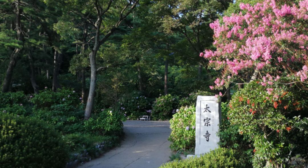 园林大讲堂｜清溪川：韩国人最引以为傲的生态改造项目