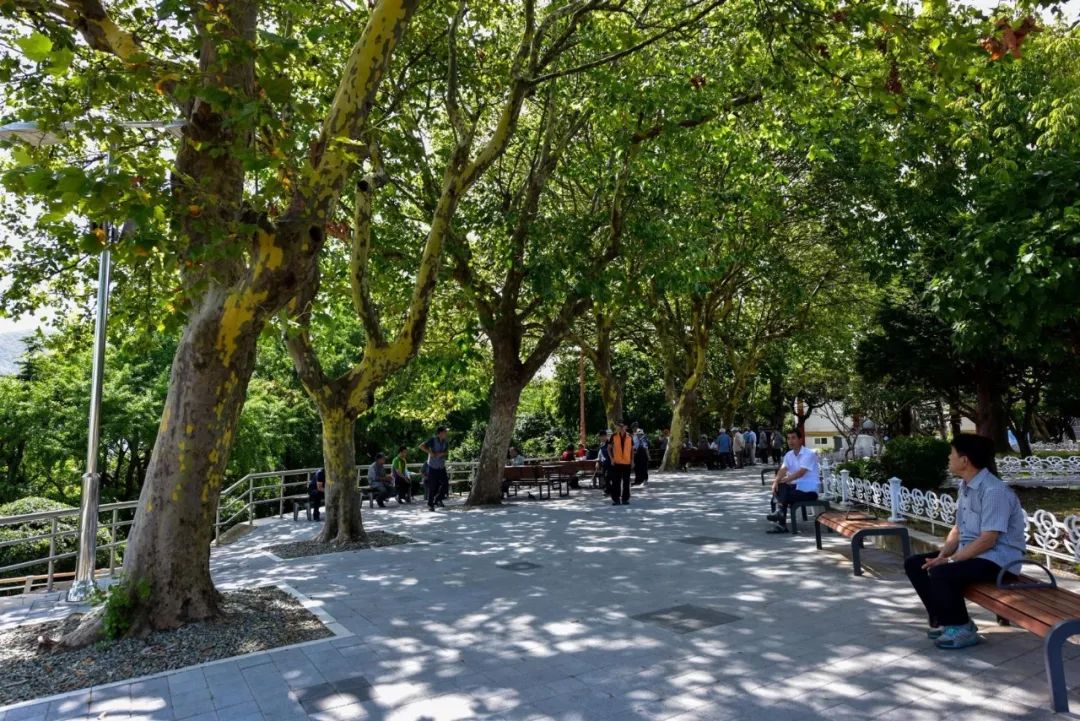 园林大讲堂｜清溪川：韩国人最引以为傲的生态改造项目