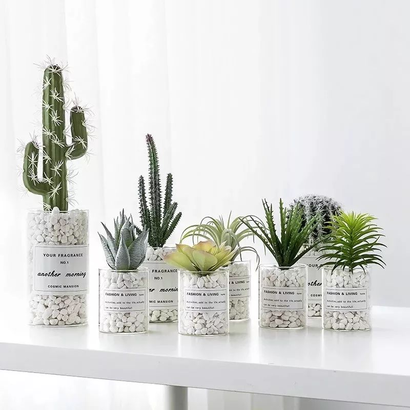 增加生活舒适感的平价小物,增添幸福感的日常小物推荐