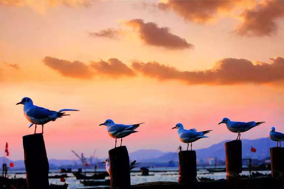 济青高铁青岛段新消息,济青高铁什么时候开通