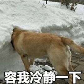 看牙破产,看牙判断人的年龄图解