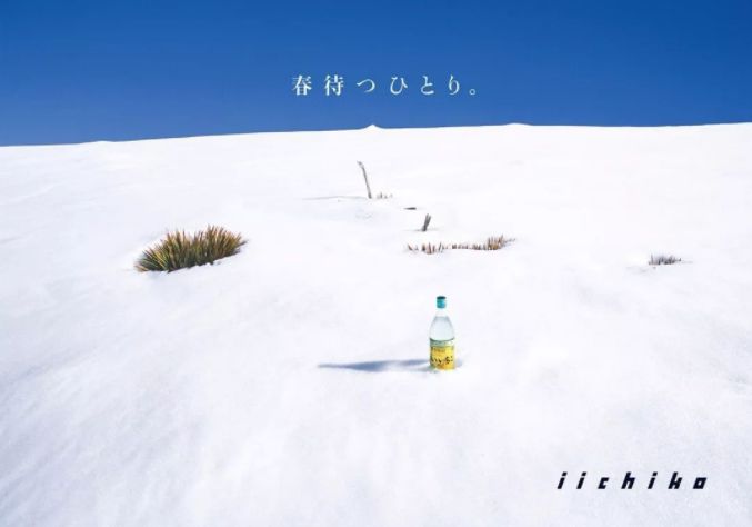 山崎威士忌的五十个秘密,山崎为什么是小众威士忌