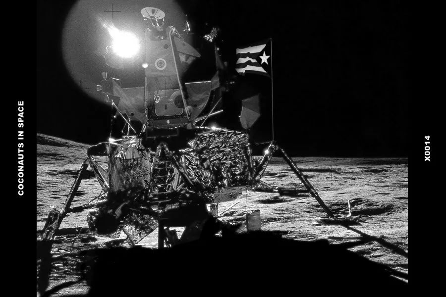 凤凰艺术年展2017,凤凰国际艺术博览会