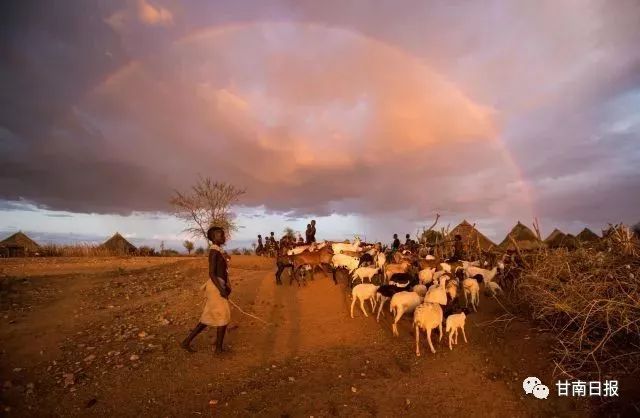 2020年度新华社照片,新华社2018年度图片精选