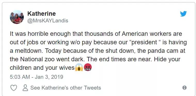 美国政府关门，“直播熊猫”画面被掐！美国网友炸锅：你们把我惹毛了