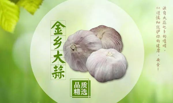 官方推荐年货！山东17市代表性农副特产都是啥？