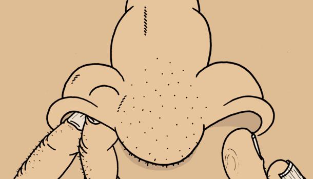 健康的五个要点,健康的几个方面