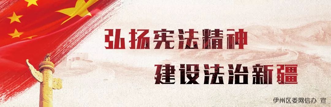 【丝路名城甜美哈密】憨态可掬、亦庄亦谐的“熊舞”，快来为这项哈萨克族民间舞蹈点赞吧！