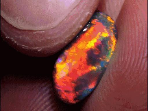 脑子进水了后悔不,脑子进水了掉井里