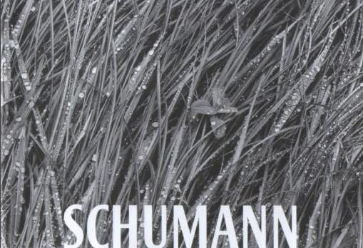 德国作曲家罗伯特舒曼简介,罗伯特舒曼成就