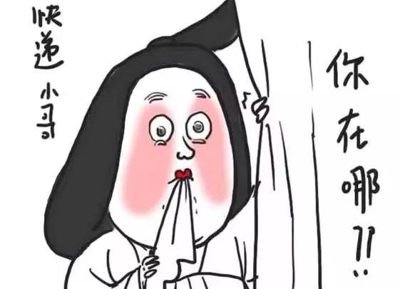 安泰会不会停运,24年春节快递停运时间表