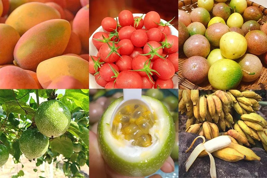 感受一下海南年味,黎族风味美食