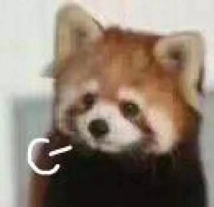 济南现在哪些快递不能接收 (济南现在停发快递了吗)