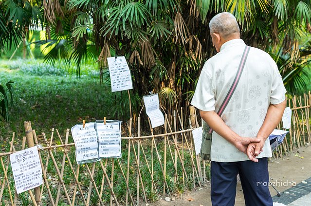 成都最值得去的景点和美食,成都旅游攻略五天四夜美食