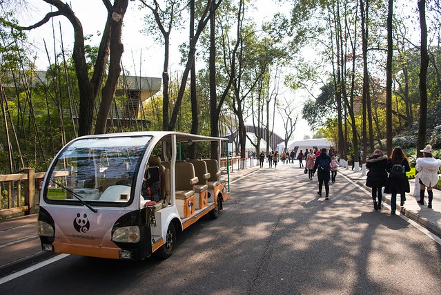 成都最值得去的景点和美食,成都旅游攻略五天四夜美食