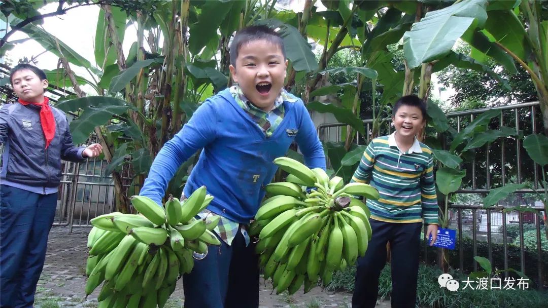 语数外、钢琴、足球...样样在行！这个大渡口男孩获全市殊荣